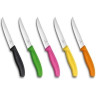 Нож для стейков VICTORINOX 6.7936.12L5